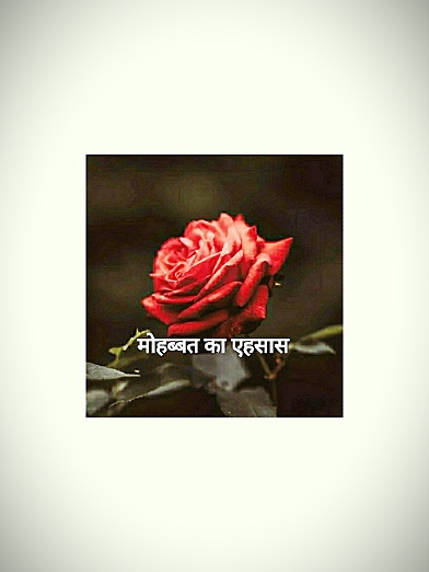 मोहब्बत का एहसास's image