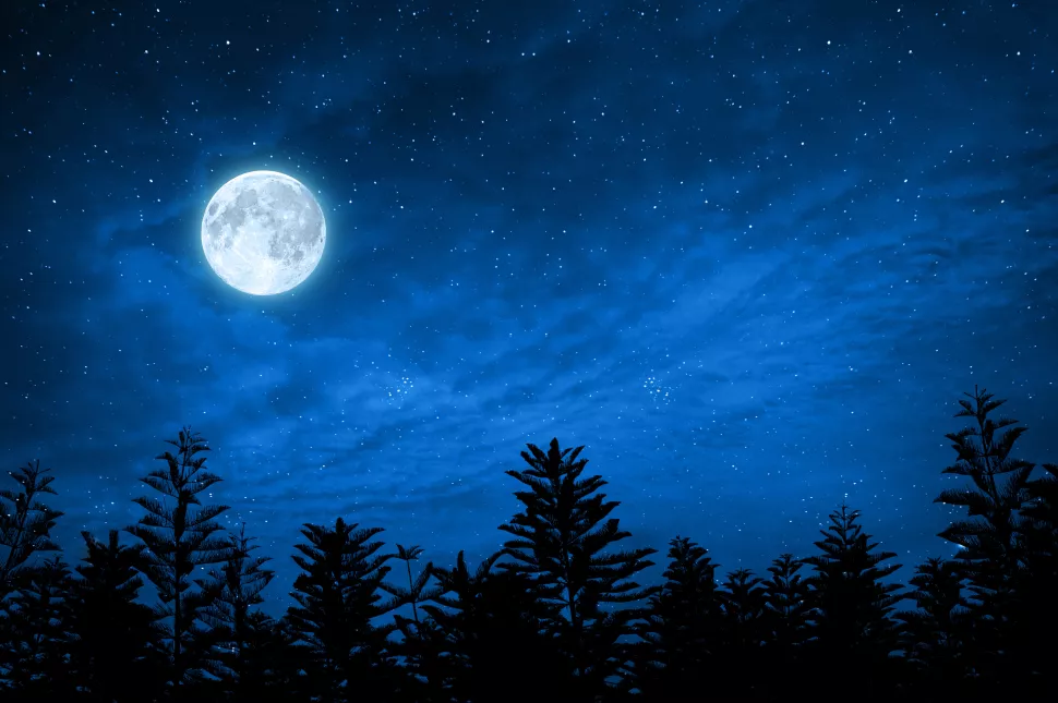 Full moon light