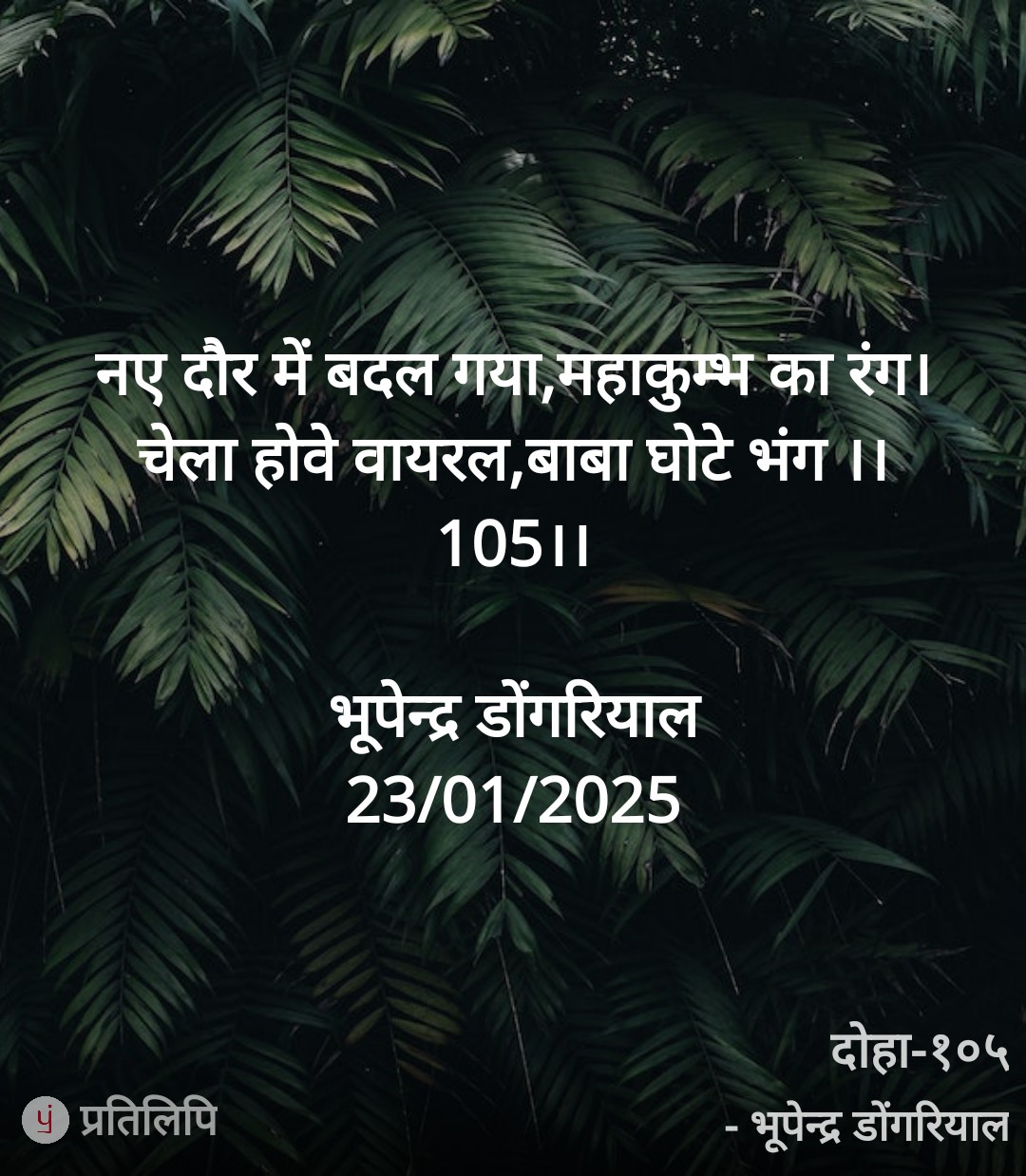 महाकुम्भ का रंग's image