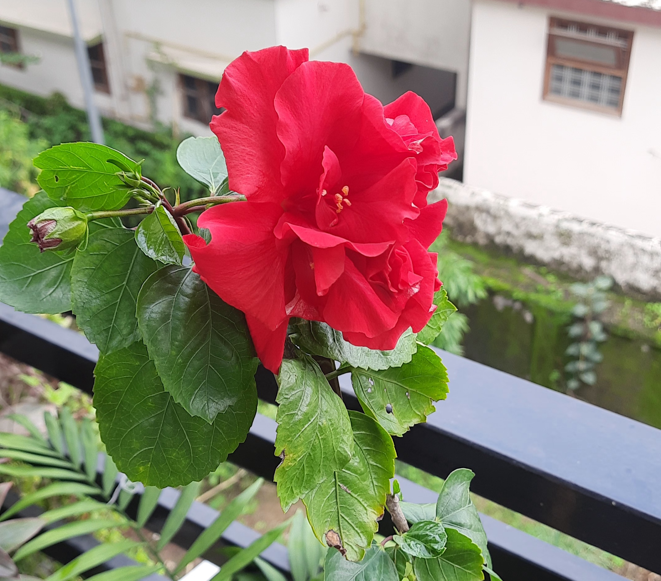 जीवन का फलसफा's image