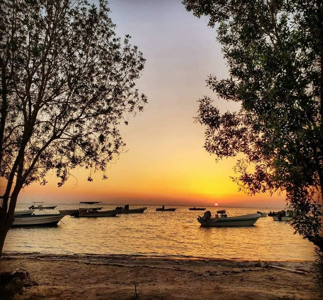 इश्क की चिंगारी's image