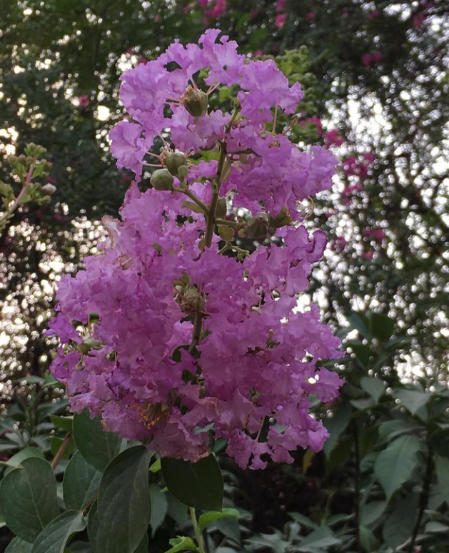 वक्त's image