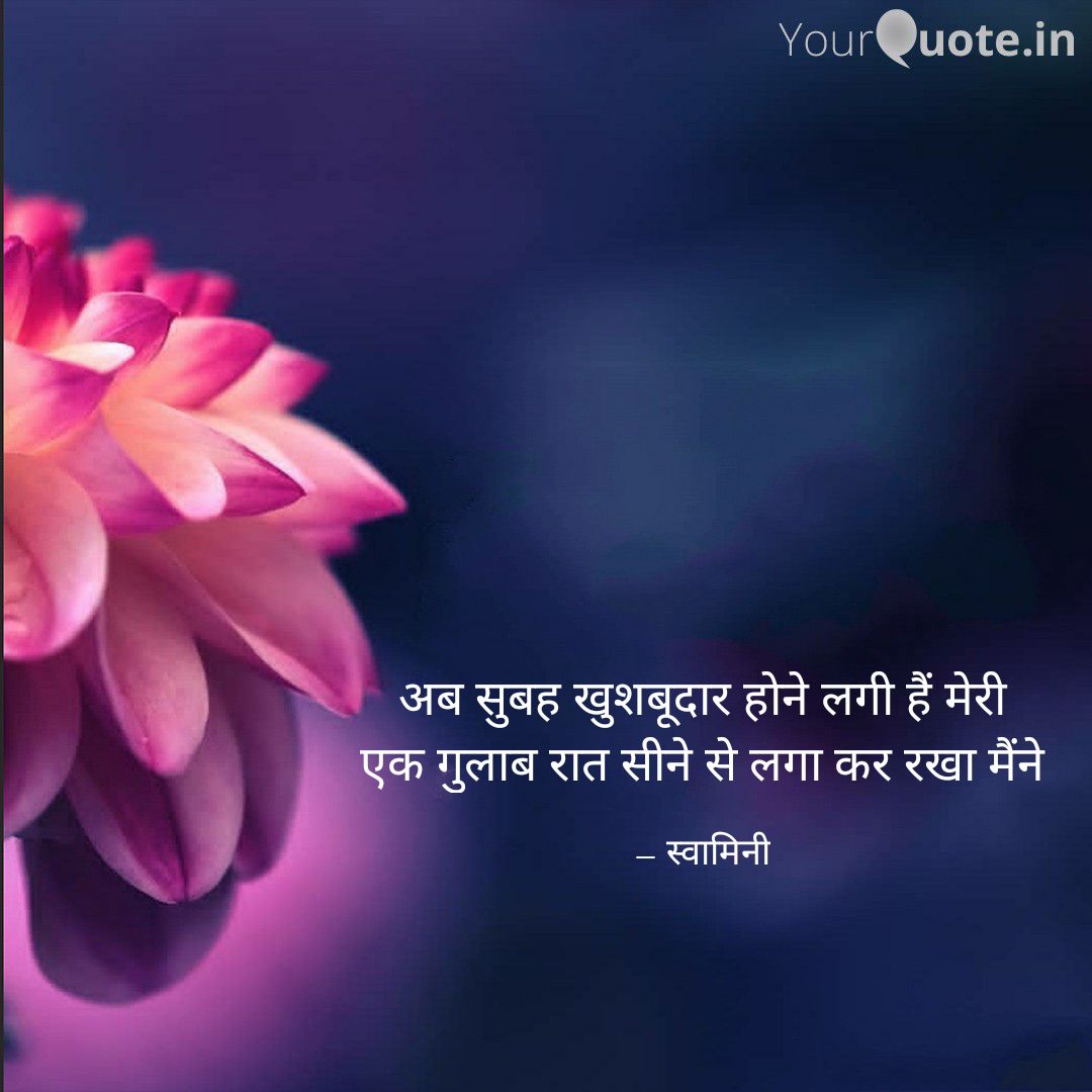 गुलाब's image