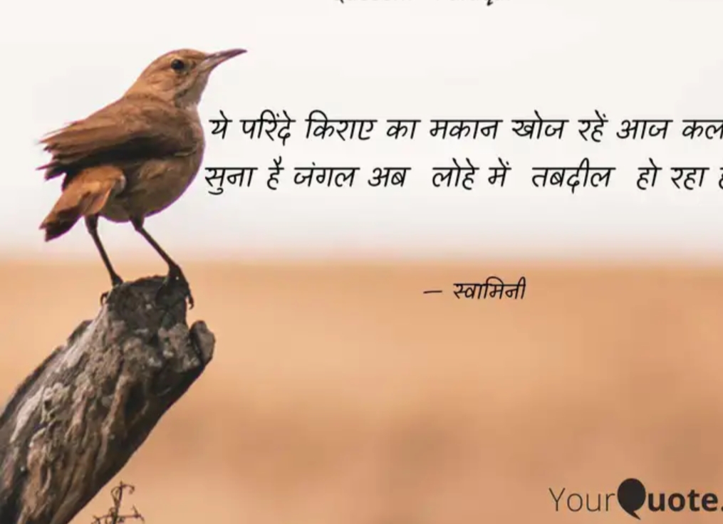 परिंदे,