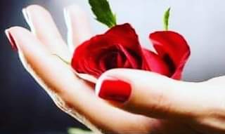 रोज डे...'s image