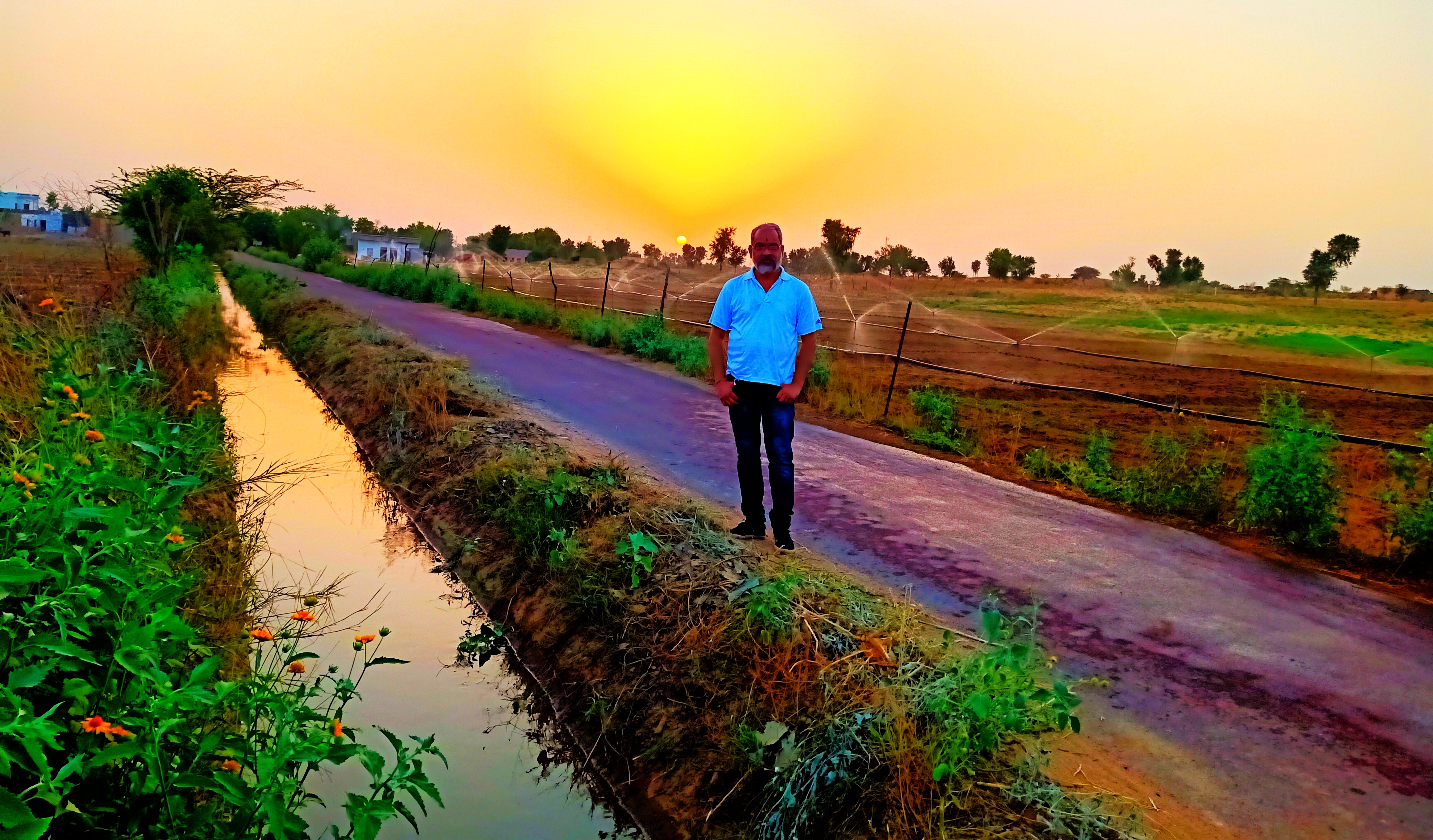 शाम