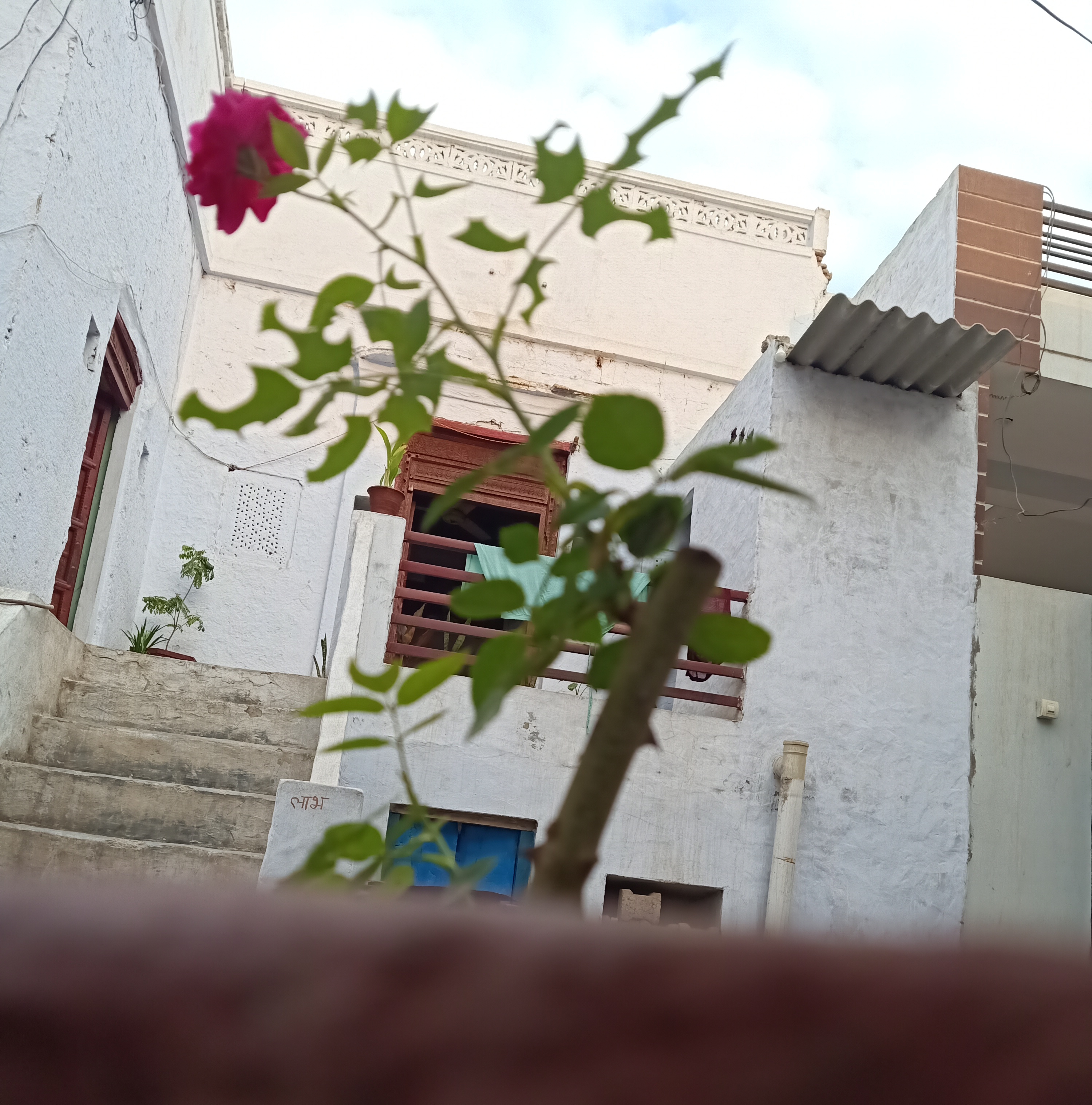 सुर्ख़ गुलाब