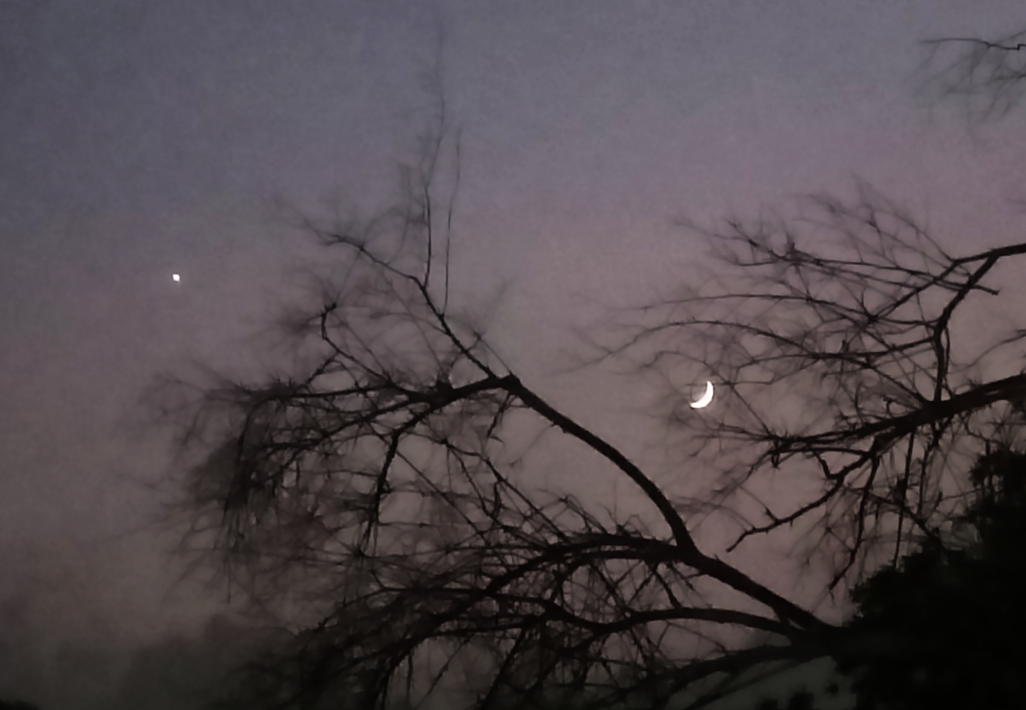 चाँद के साथ सितारा's image