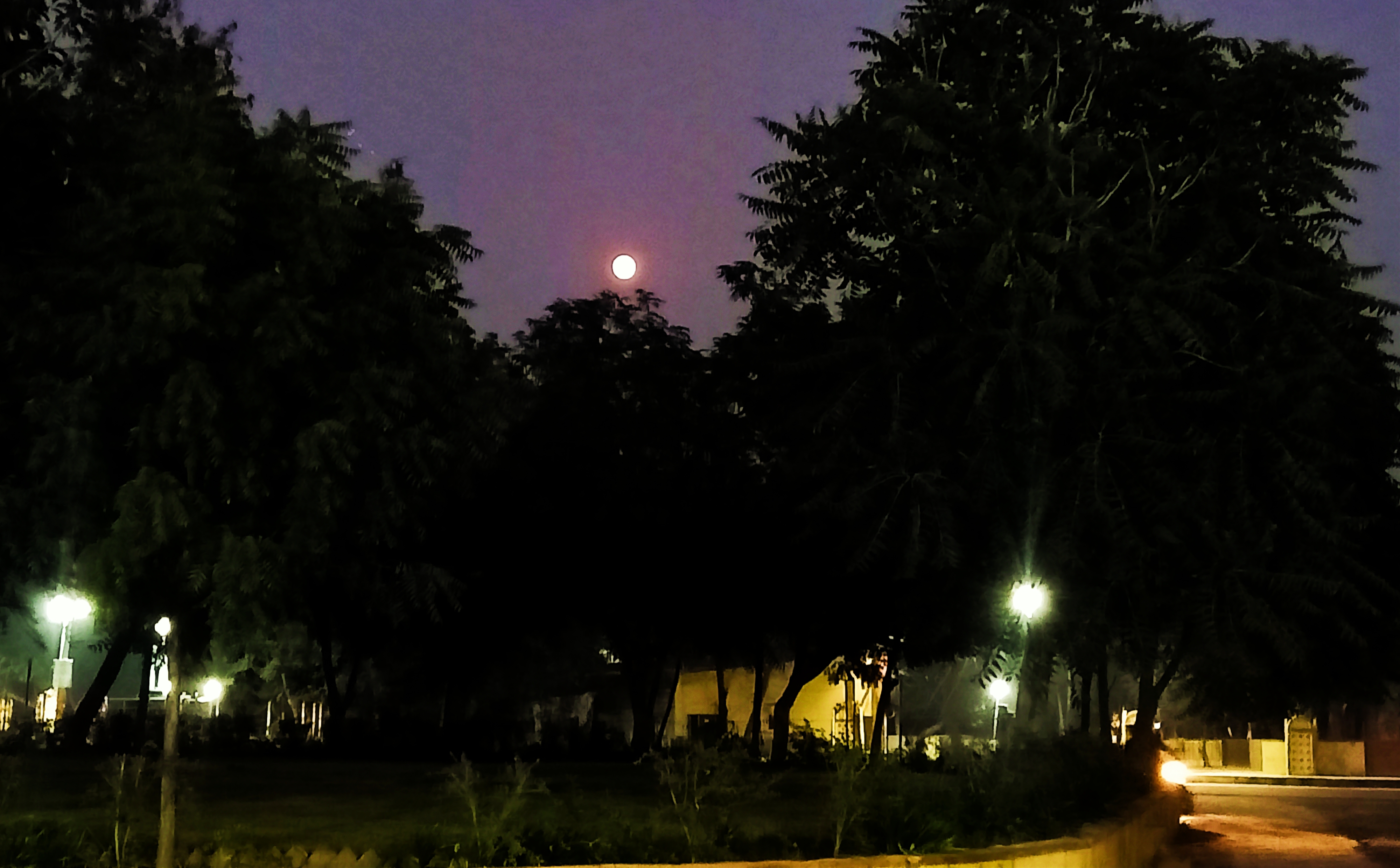 बेबस चाँद's image