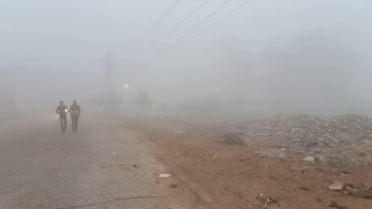 कोहरा's image