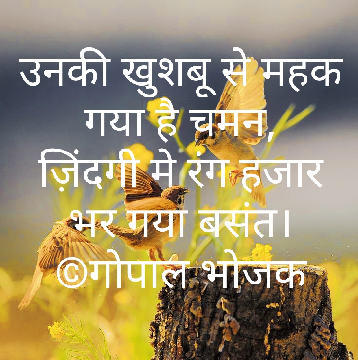 बसंत...'s image