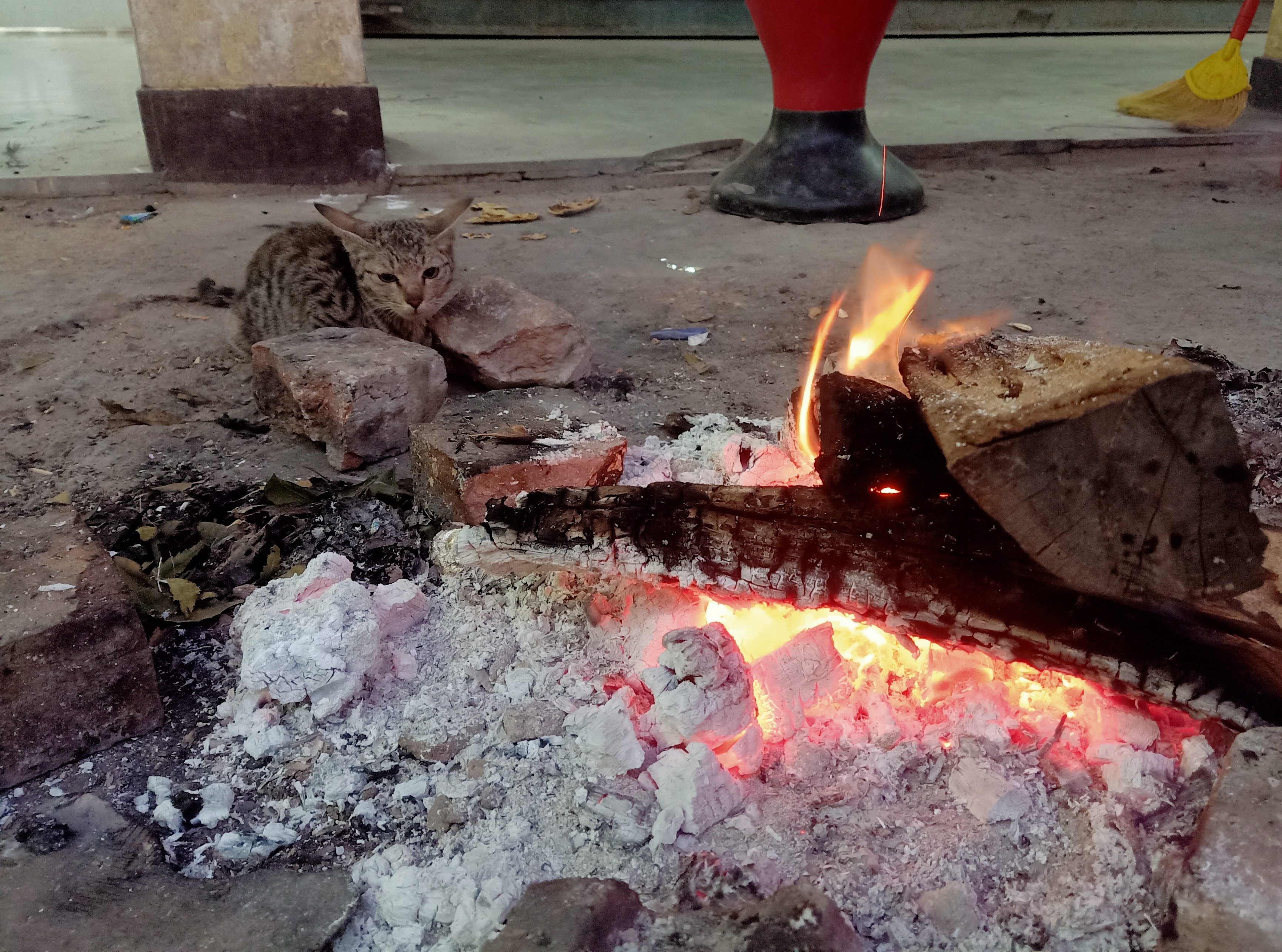 सर्दी...'s image