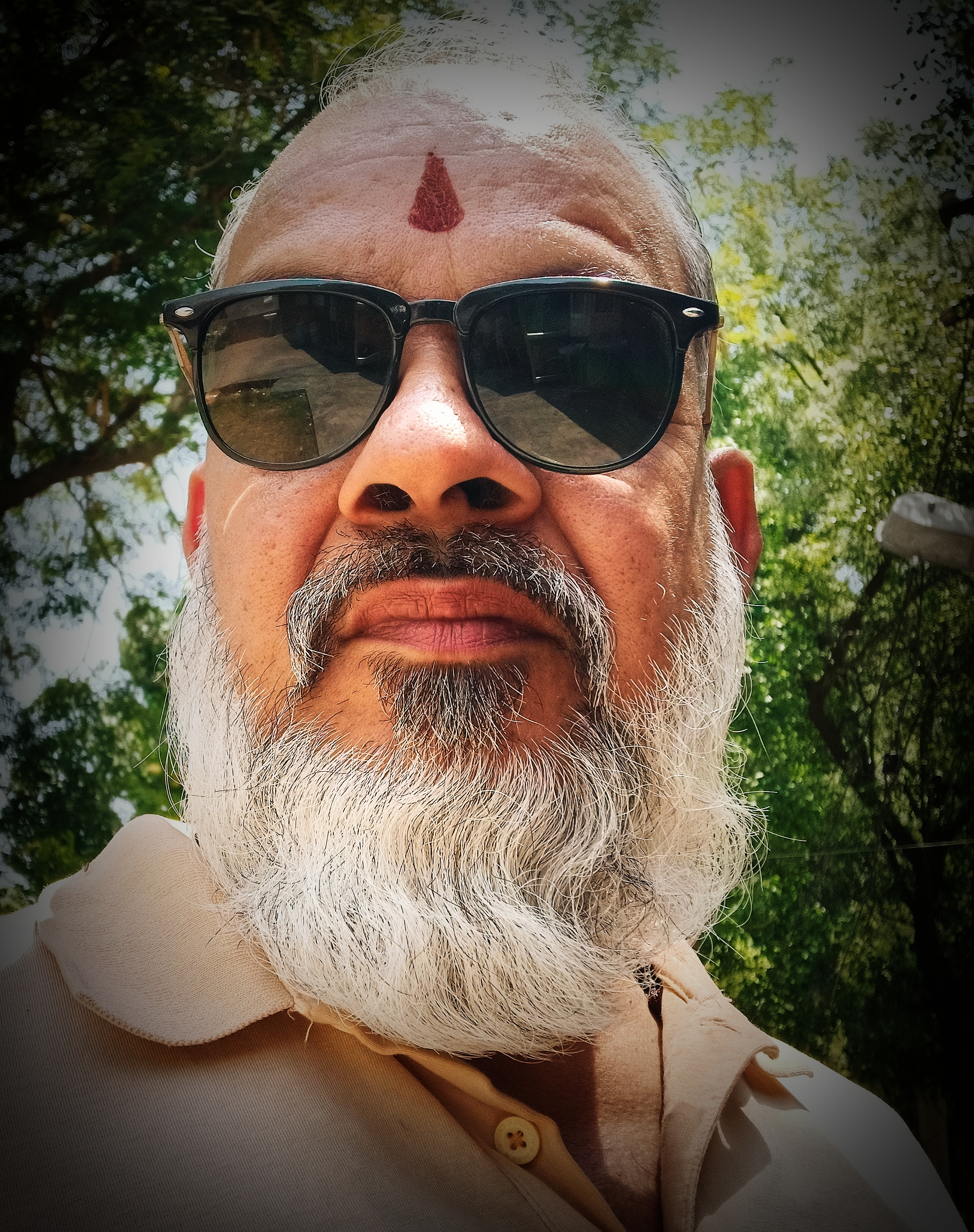 आवारा परिंदा...'s image