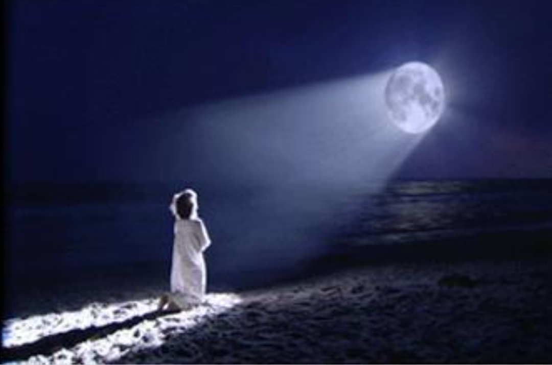 तेरे बिन's image