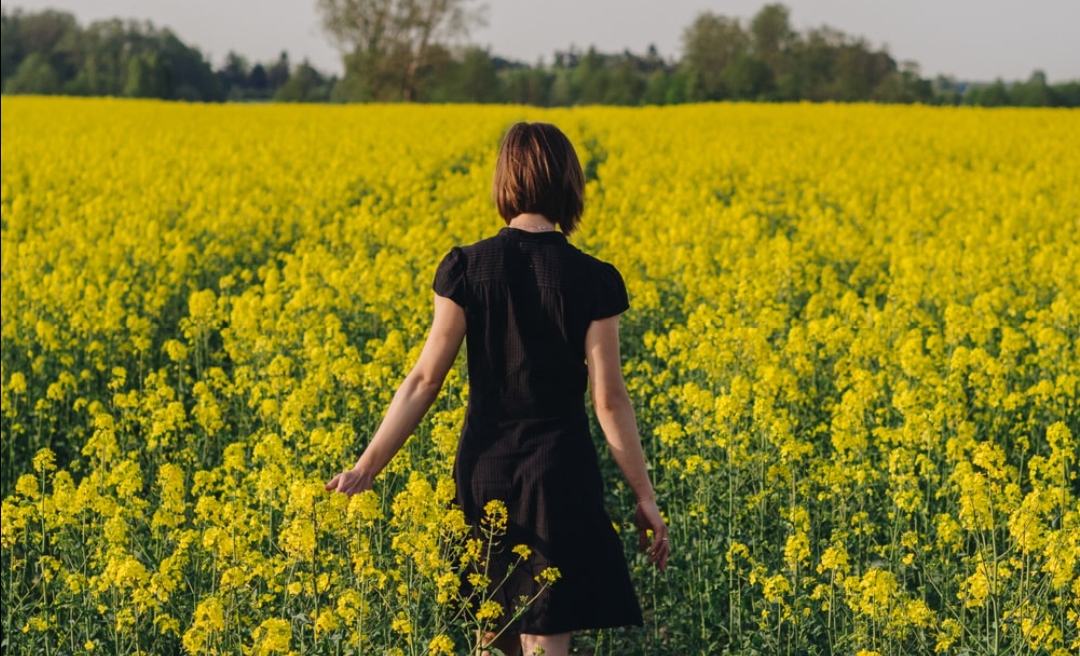 खुशबू सी बिखर जा's image