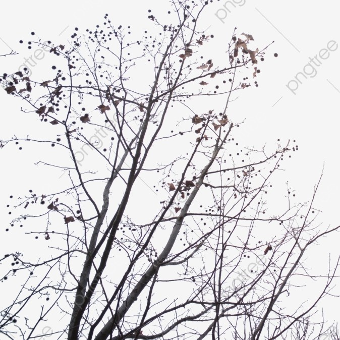 बचा रहा बस प्रेम's image