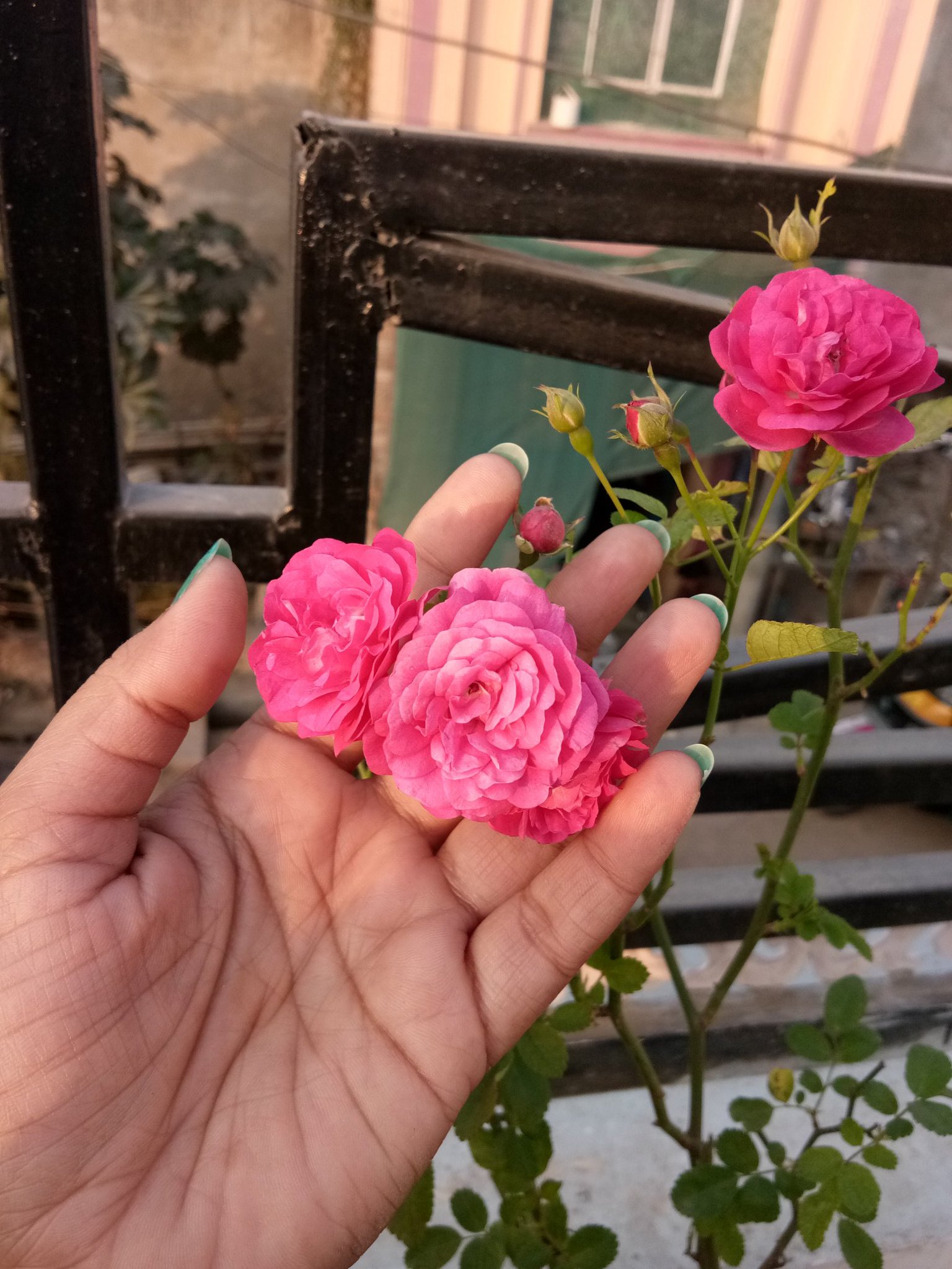 मुझे फ़िक्र है तुम्हारी's image