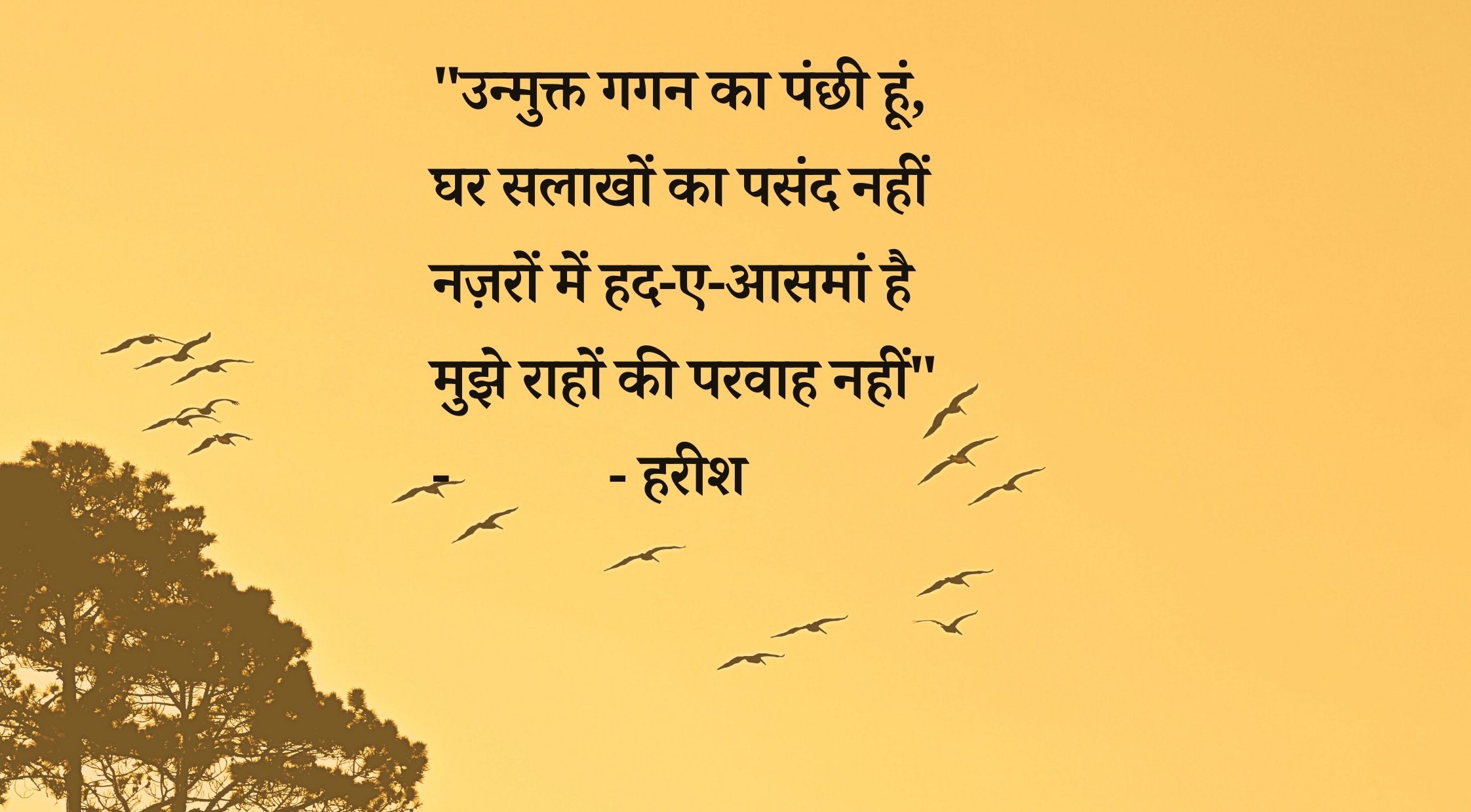 उन्मुक्त गगन का पंछी हूं's image