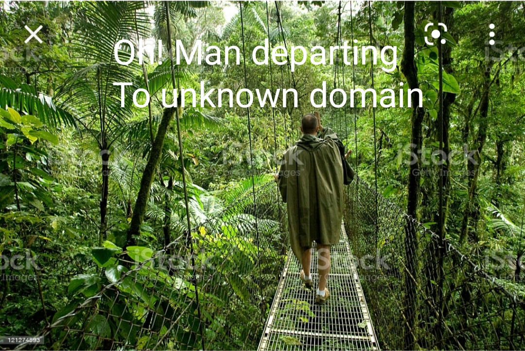 Ode To Man
(Poem)'s image