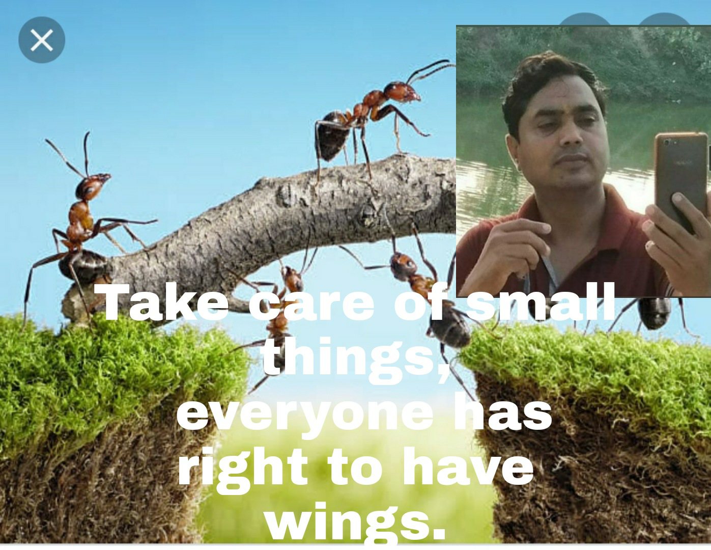 (Poem) Everyone has right to flirt wings's image