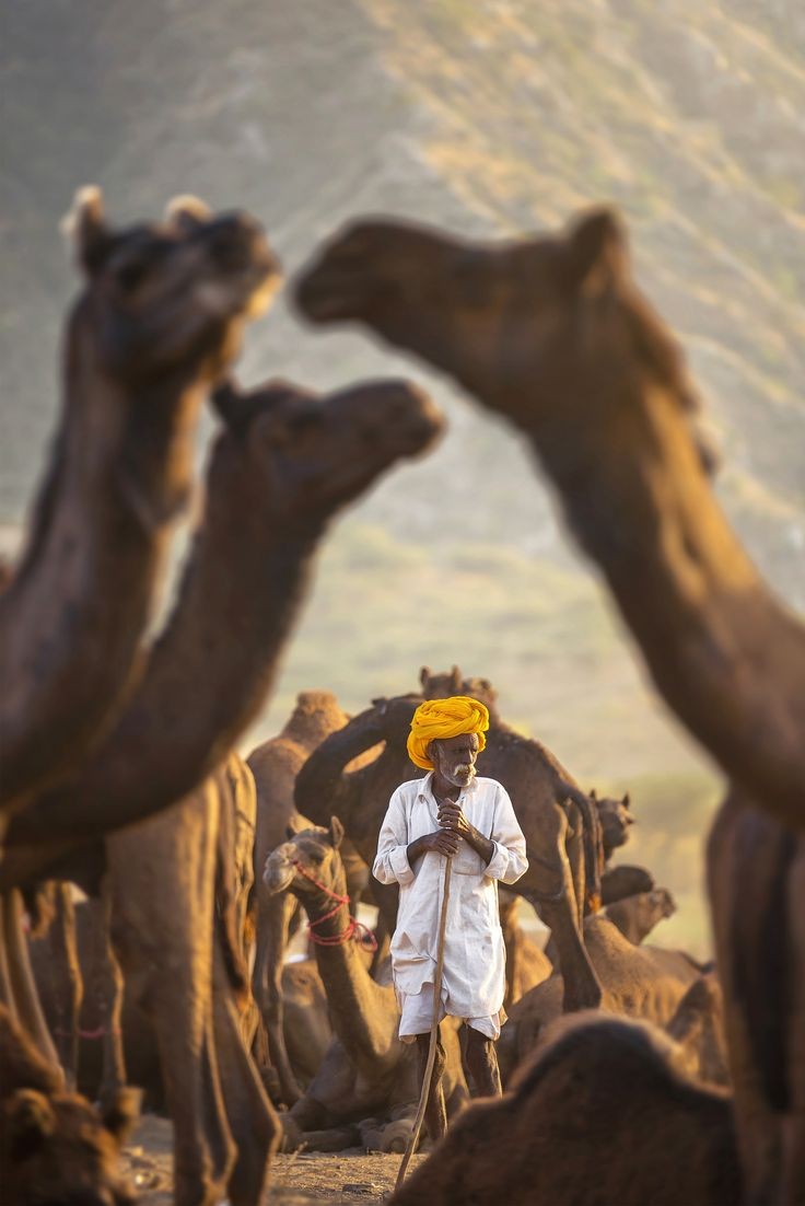 वो व्यावसायिक थोड़ा अलग है