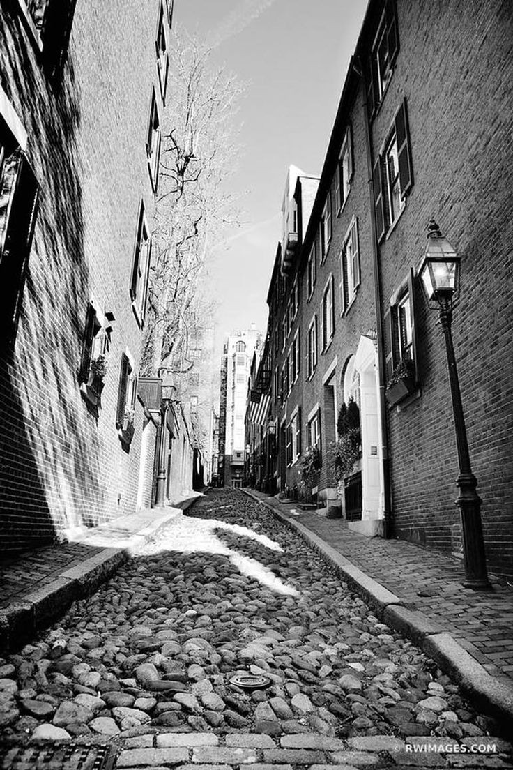 यादें's image