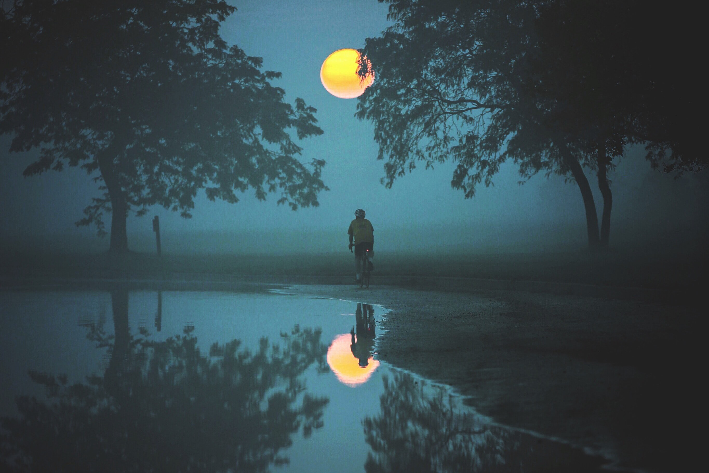 दर्द का रिश्ता भला ढोता है क्या's image