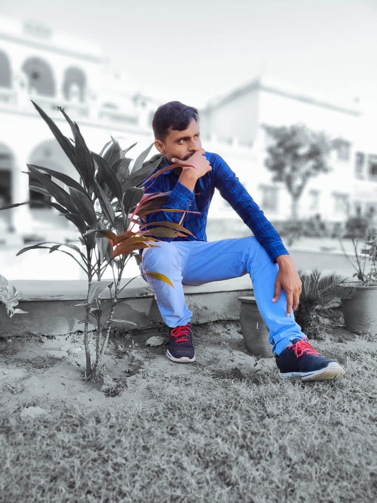 कली का भौंरे से....'s image