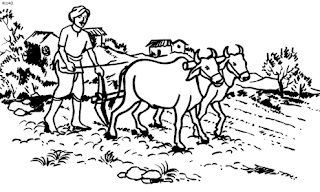 किसान महापड़ाव