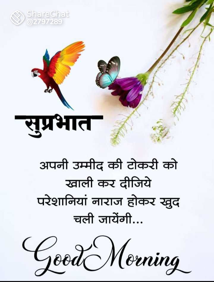 उम्मीद's image