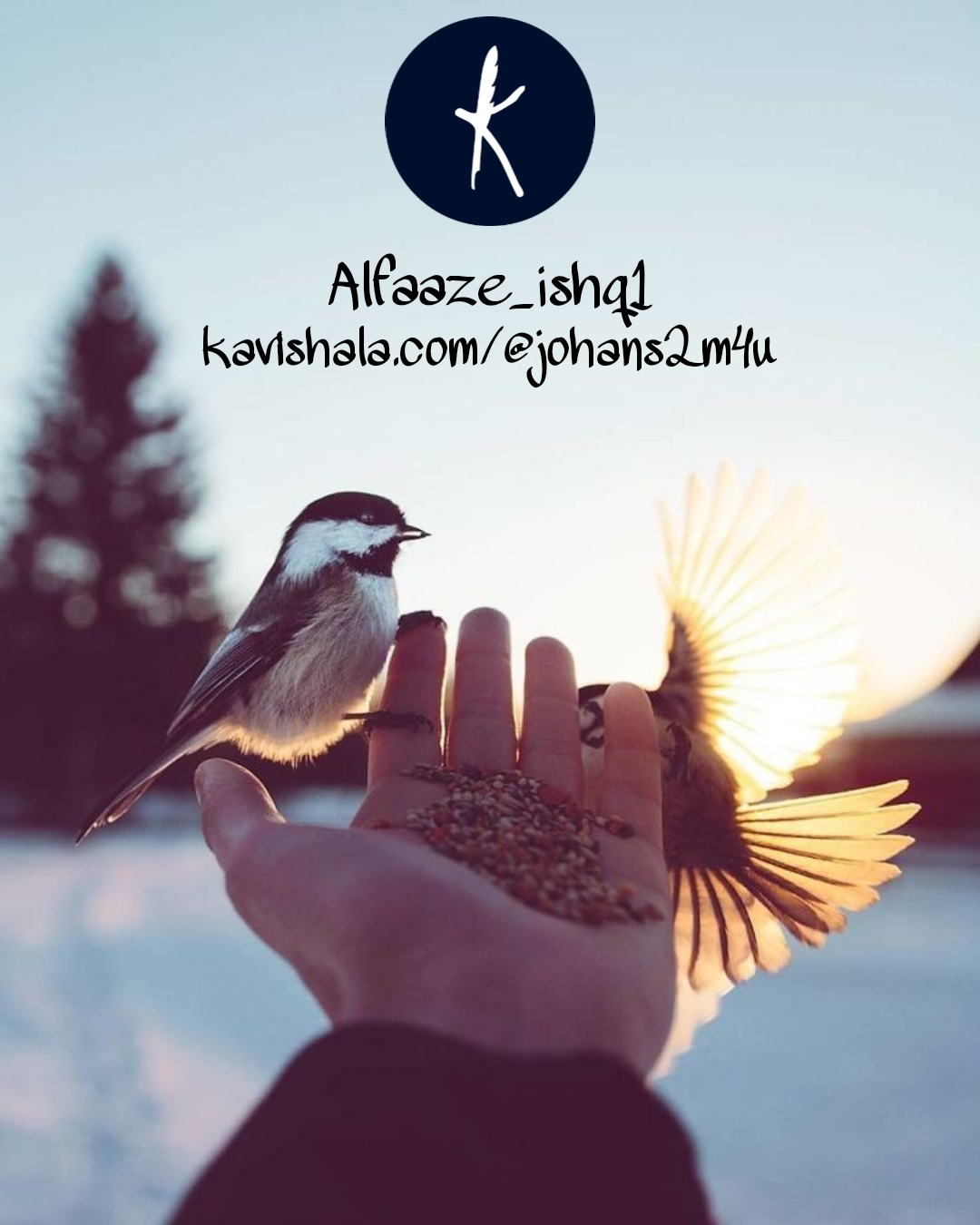 खोई हुई चिड़िया's image