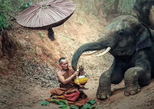 Be the Change You Want to See's image