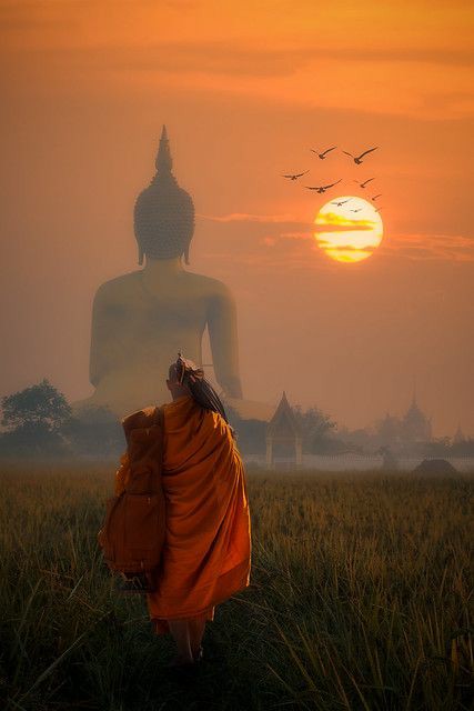 चलना है अपनी गति और दिशा में's image