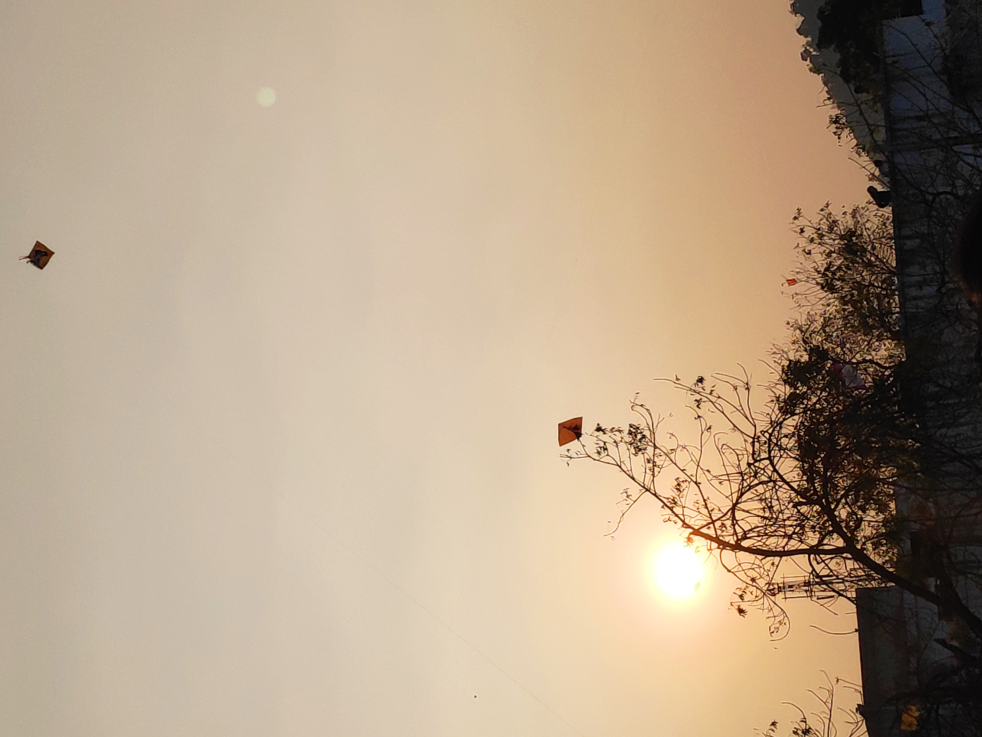 ગુજરાત સ્થાપના દિવસ's image