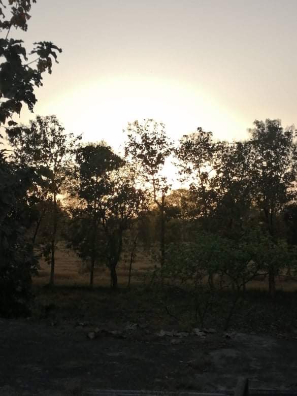 आवाज़