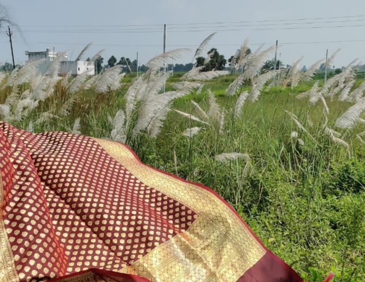 माँ की साड़ी's image