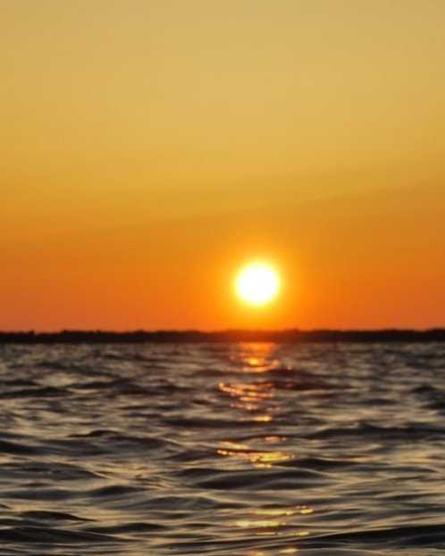 गोचर दृष्टि पाने को - कामिनी मोहन ।'s image