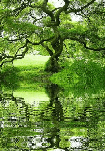 कालजयी होने के लिए - कामिनी मोहन।'s image