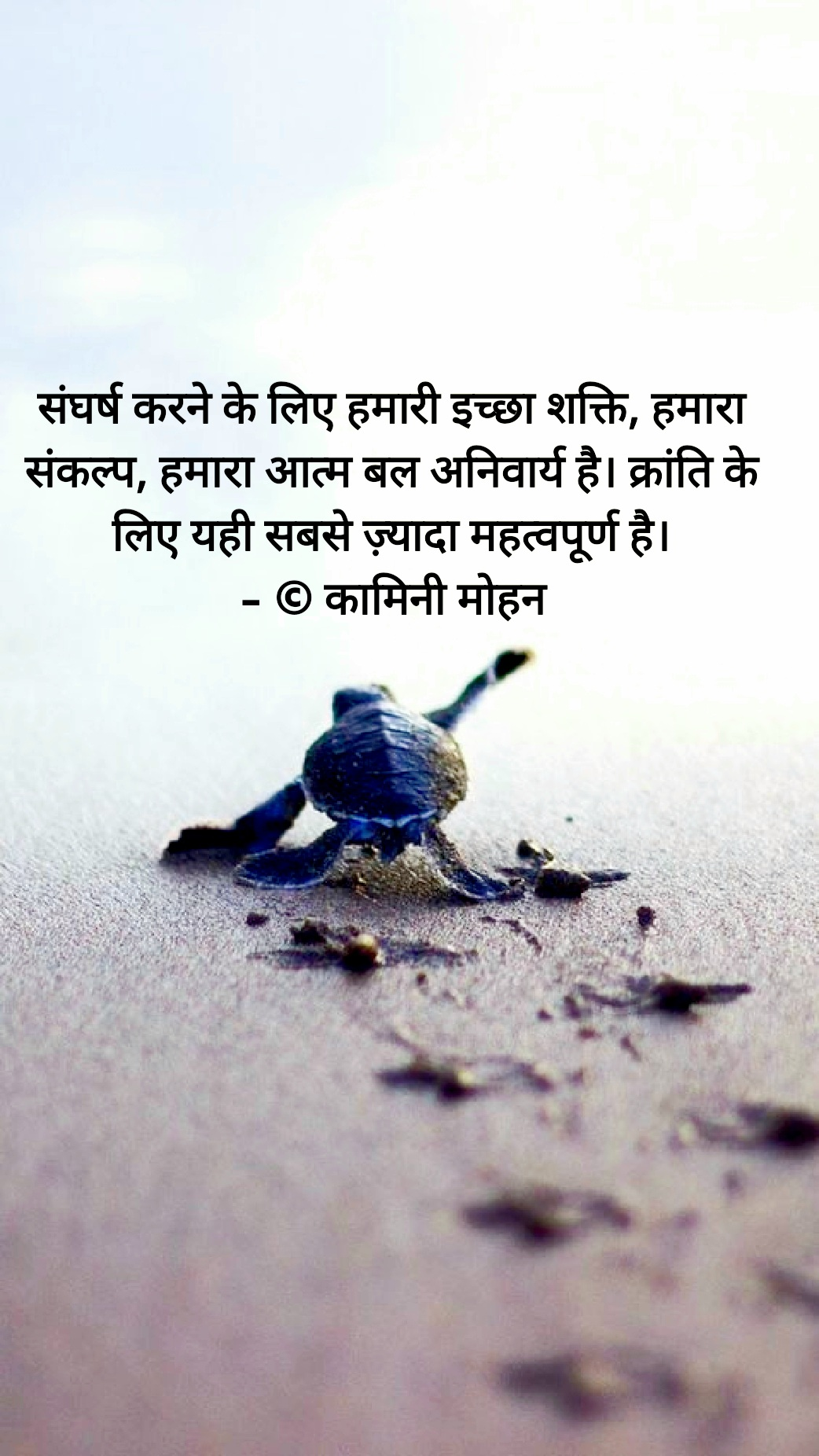 क्रांति के लिए - कामिनी मोहन।'s image