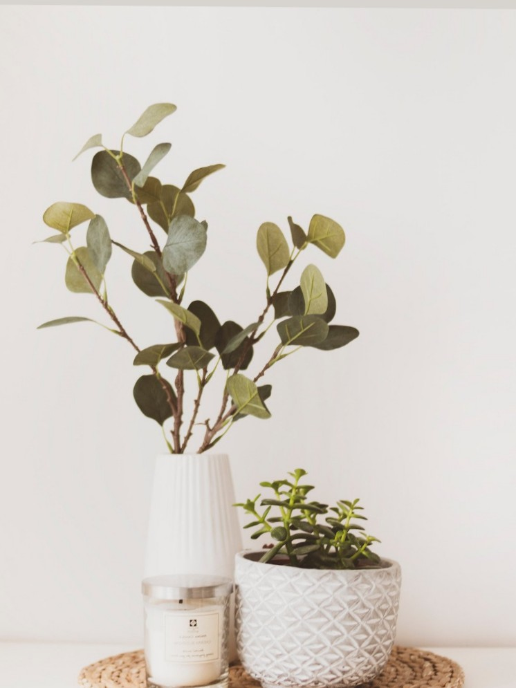 238. वो शहीद जो सेहरा बांध गया - कामिनी मोहन।'s image