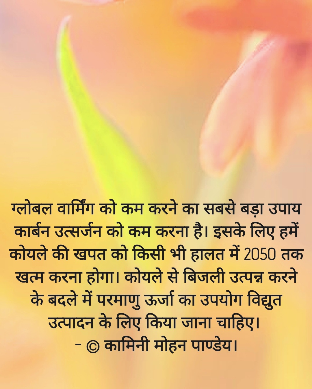 कार्बन उत्सर्जन को कम किए बग़ैर जलवायु की चिंता करना बेमानी  - © कामिनी मोहन पाण्डेय।'s image