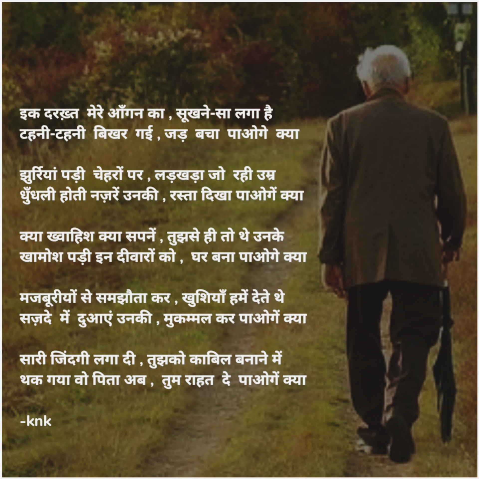 बुढा वृक्ष
