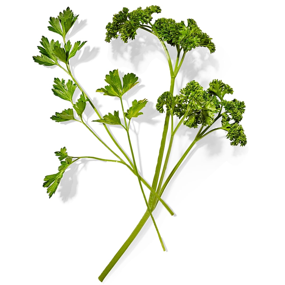 आसान