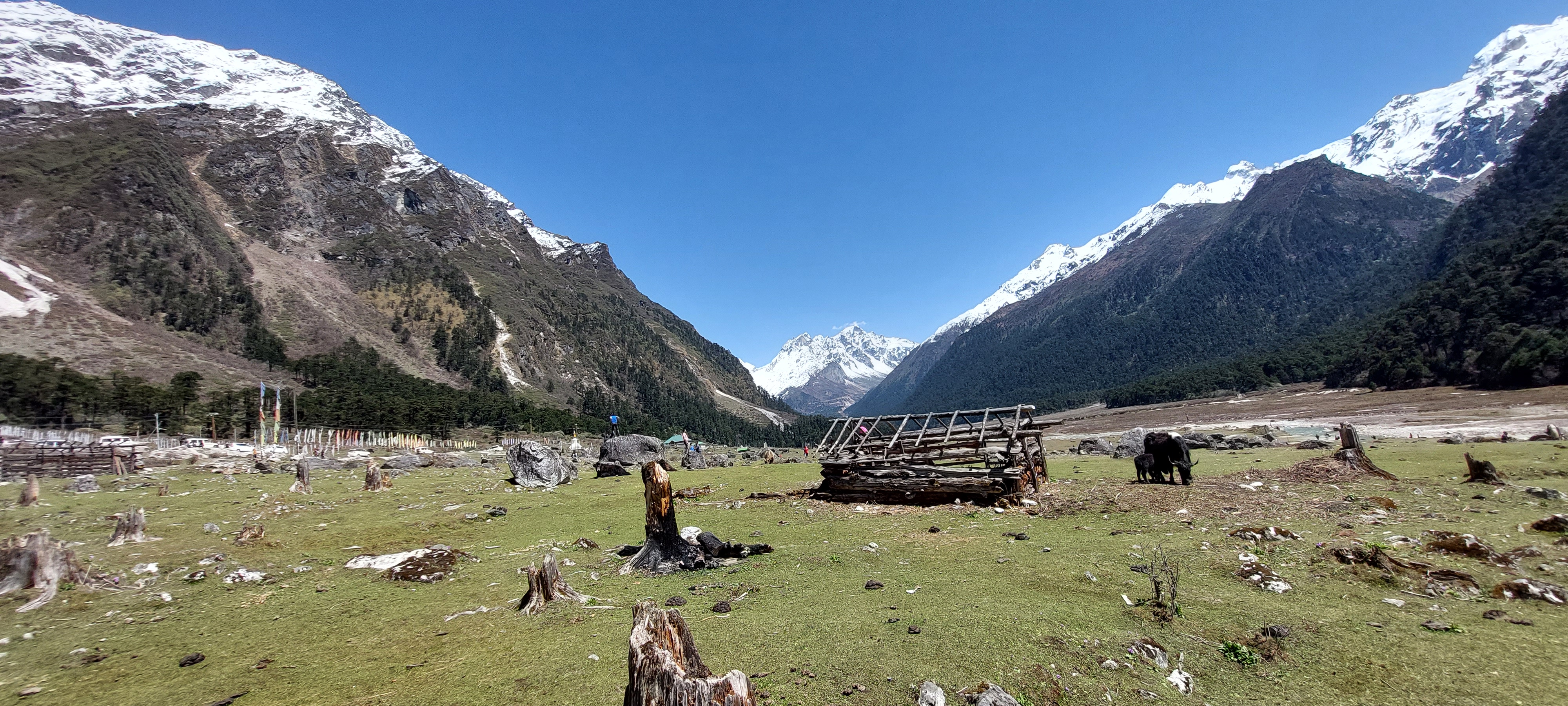 यूं ही नहीं इन वादियों में ये सुरूर है..'s image