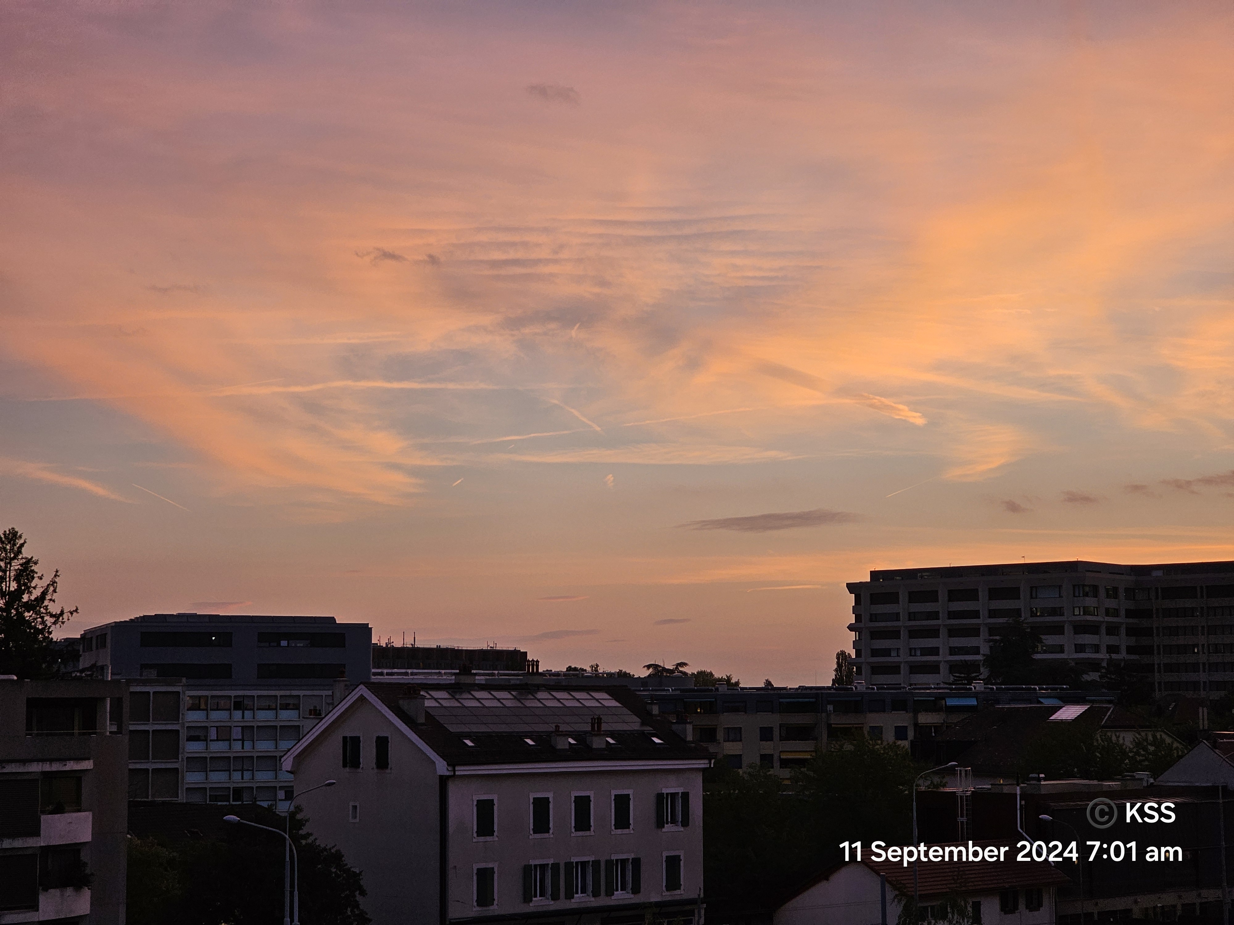 तुझ से तेरा हाल's image