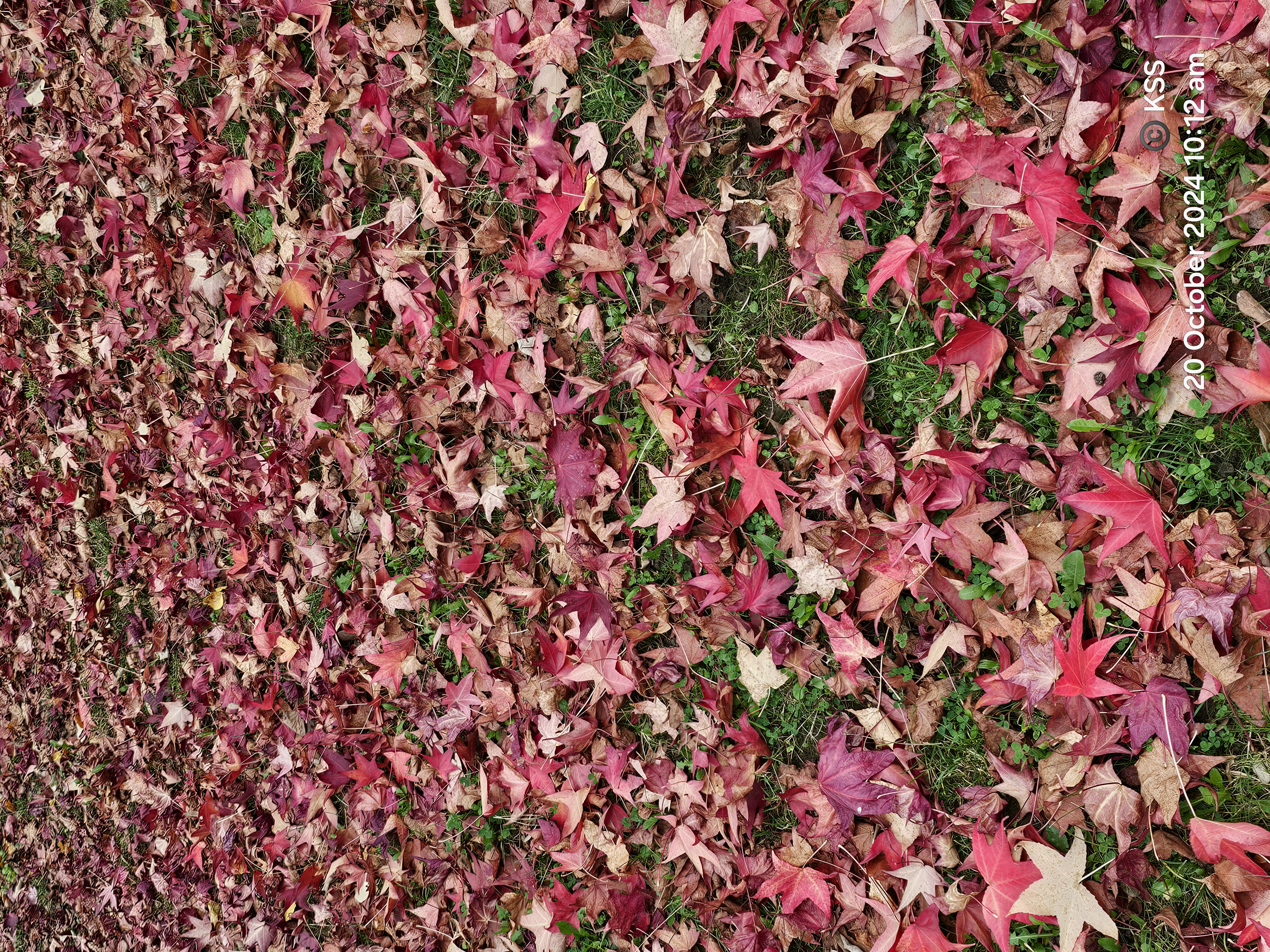 साल बीतते गये's image