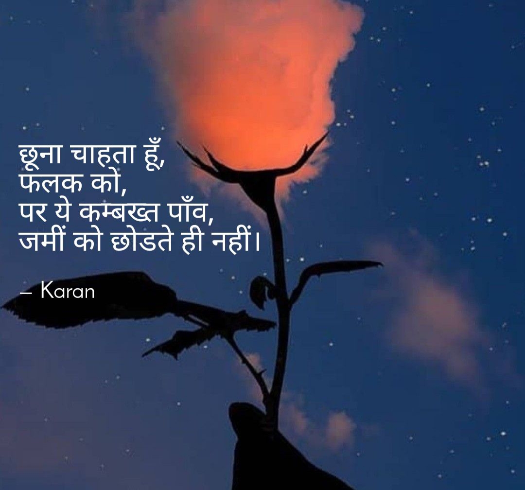 फलक's image