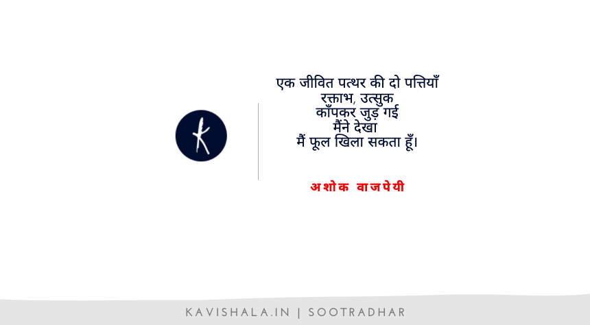 रस के बिना कविता की कल्पना भी संभव नहीं है