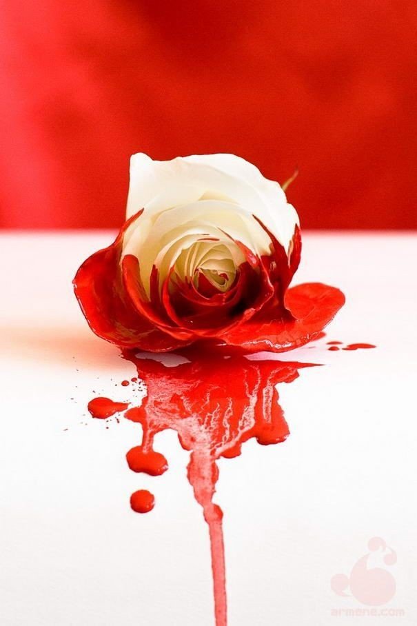 Yes I bleed! - by Huda Shaikh's image