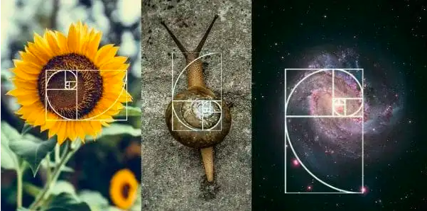 The Intersection Between Math and Poetry | Mallika Vasak's image